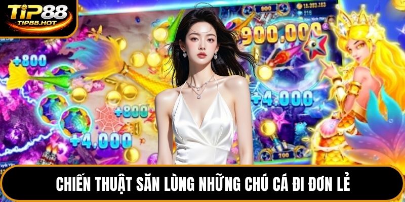 Chiến thuật săn lùng những chú cá đi đơn lẻ